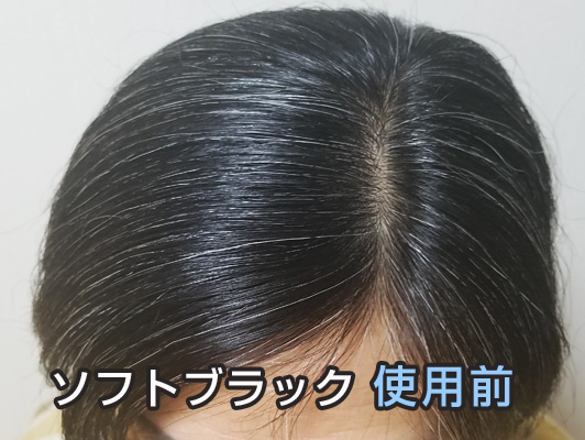 ルプルプ　ヘアカラートリートメント　ソフトブラック