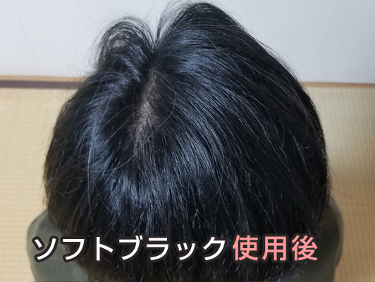 ルプルプ　ヘアカラートリートメント　ソフトブラック