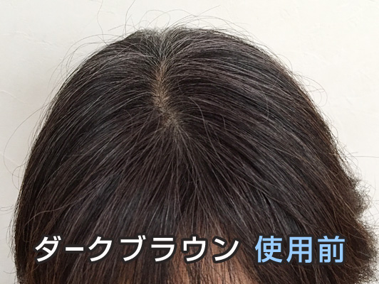 利尻ヘアカラー 1日目 ダークブラウン使用前