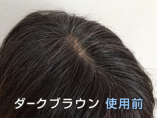 利尻ヘアカラー 1日目 ダークブラウン使用前 斜め上から