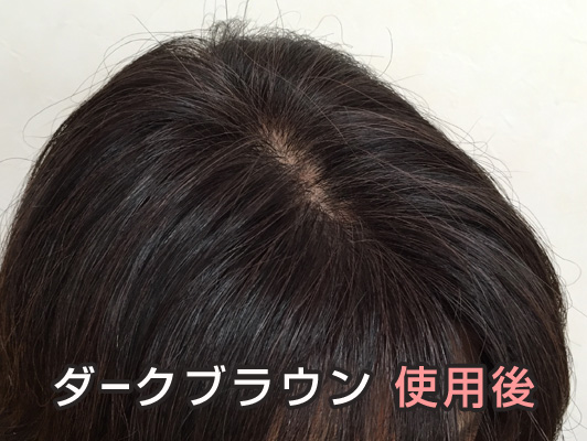 利尻ヘアカラー 1日目 ダークブラウン使用後 斜め上から