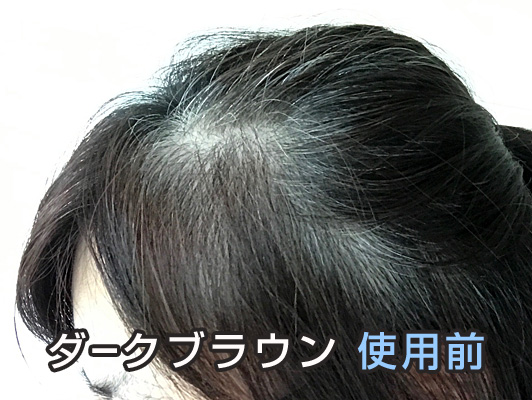 利尻ヘアカラー ダークブラウン 使用前 ミントさん