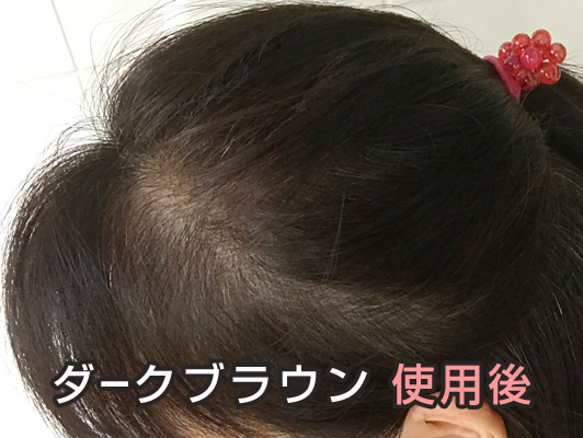 利尻ヘアカラー ダークブラウン 使用後  ミントさん