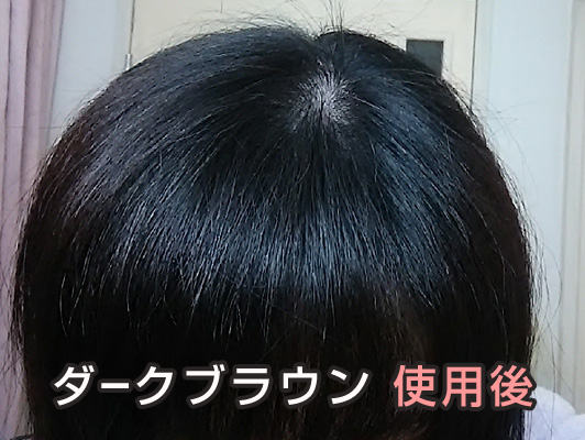 利尻ヘアカラー ダークブラウン 使用後 やまねさん