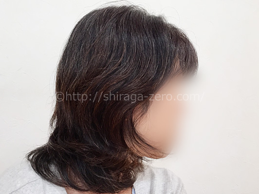 mayomayo-prior-process_introphoto_hairstyle01