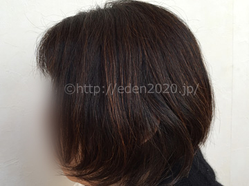 mayomayo-refine-process_introphoto_hairstyle01
